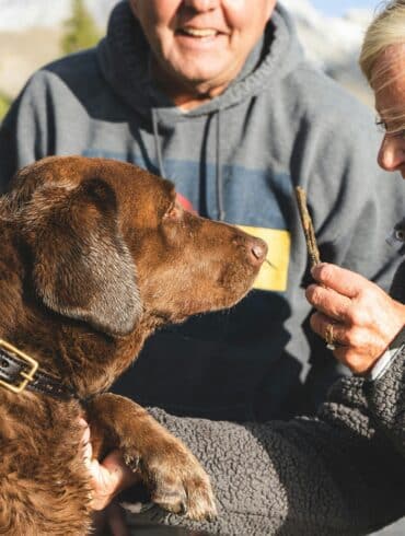 man and woman feeding their dog a treat