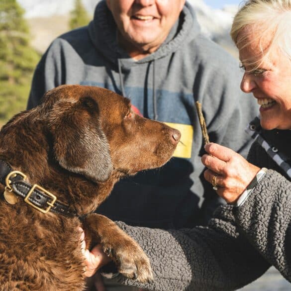 man and woman feeding their dog a treat