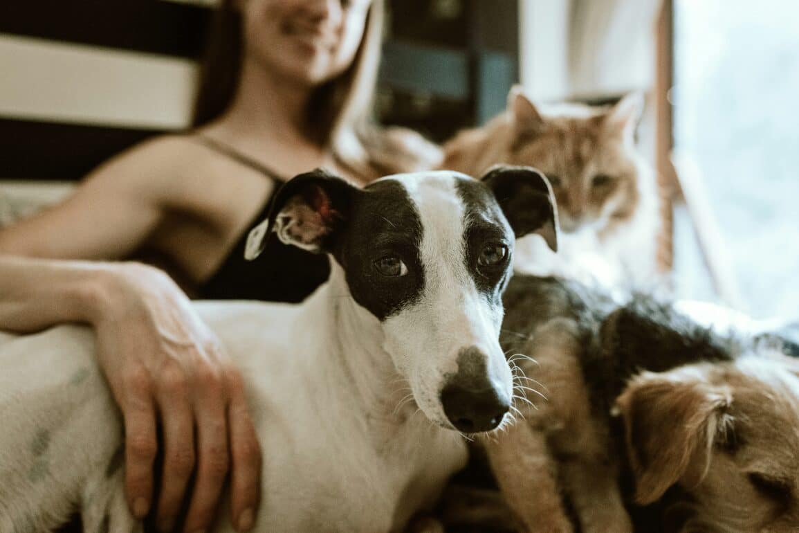 a woman sitting with a dog and a cat