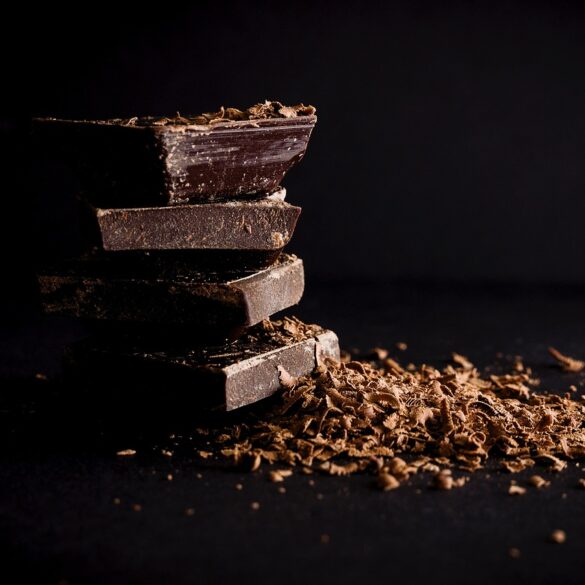 Is it Really THAT bad for my dog to eat Chocolate??