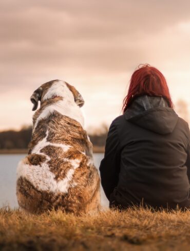 Dog and woman sitting on the grass watching the sunset