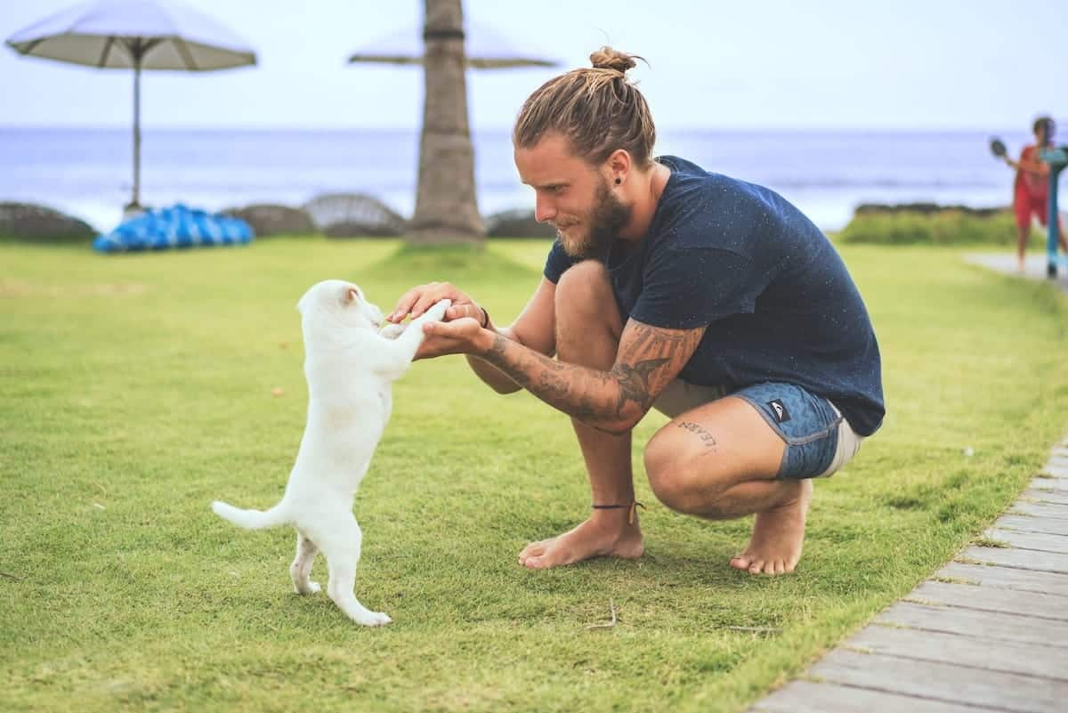 man training puppy near the beach