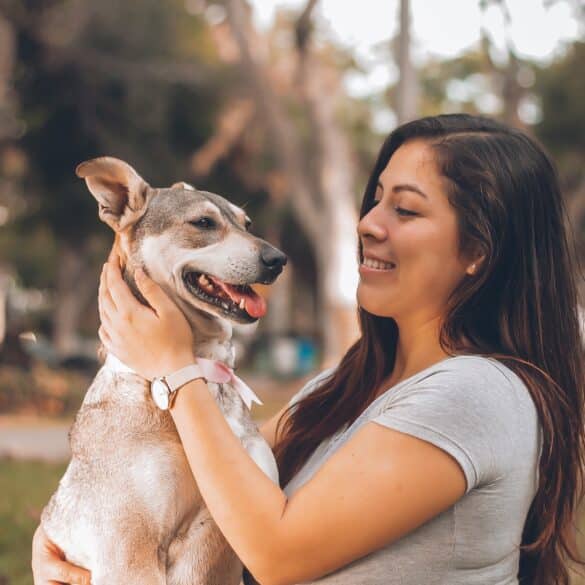 Girl petting dog