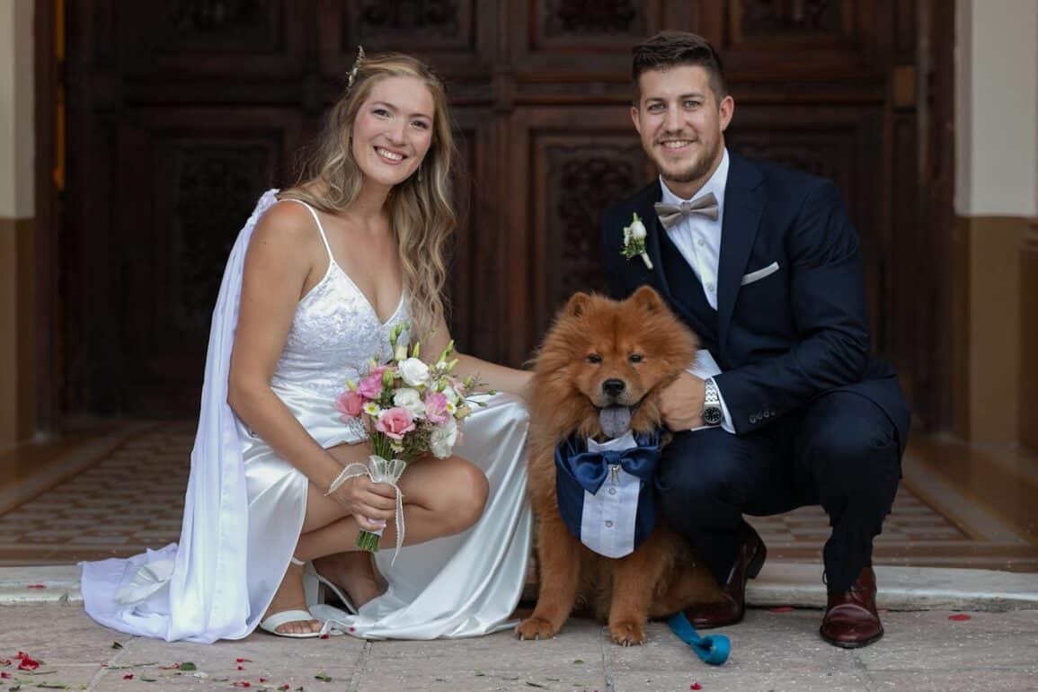 Pup in Your Elopement or Proposal