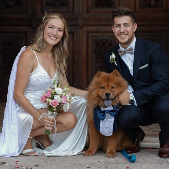 Pup in Your Elopement or Proposal