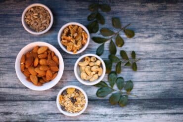 The Truth About Dogs and Nuts