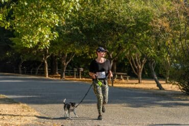 dog running on leash