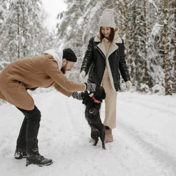 pet parents playing with their black dog in the snow