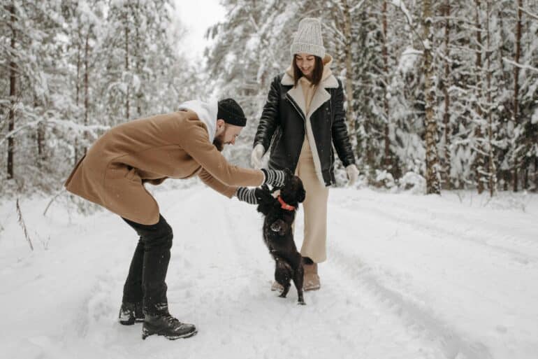 pet parents playing with their black dog in the snow