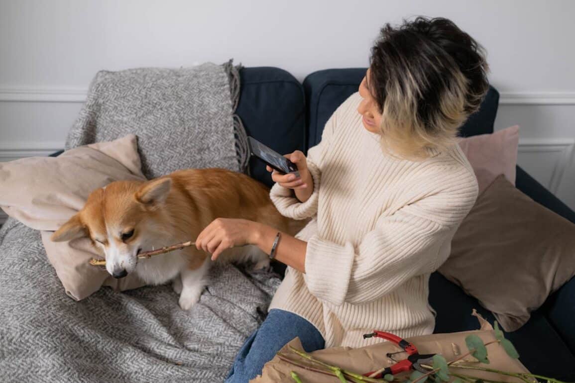 The Ultimate List of 2024’s Top Dog Influencers