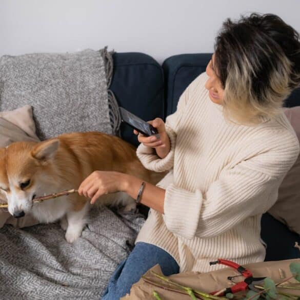 The Ultimate List of 2024’s Top Dog Influencers