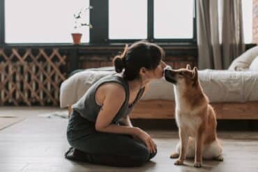 Can Dogs Understand Human word