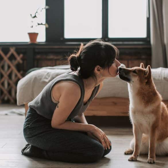 Can Dogs Understand Human word