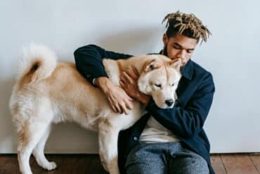 How a Dog's Health Impacts Aggression