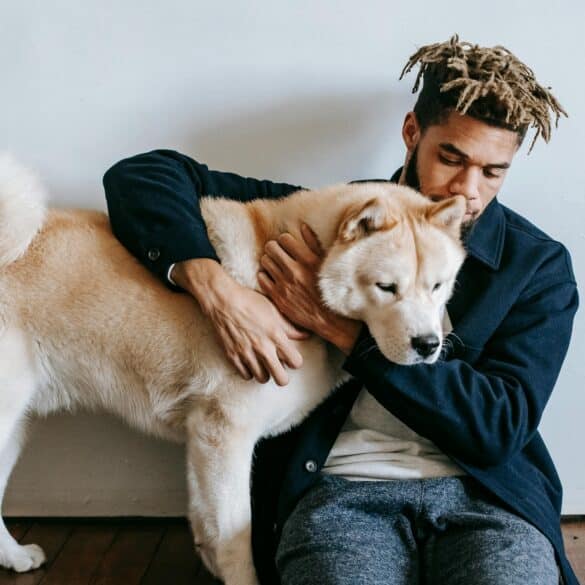 How a Dog's Health Impacts Aggression