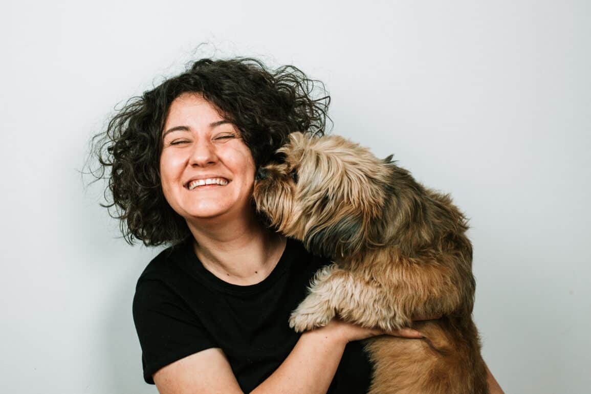 Dog with owner