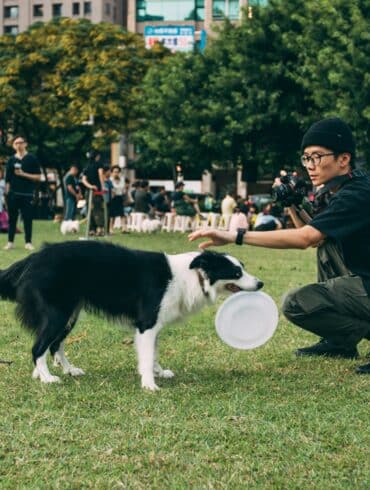 man at a park playing with a dog