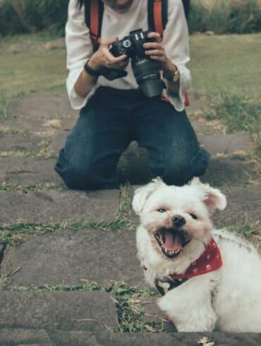 dog looking at camera with owner