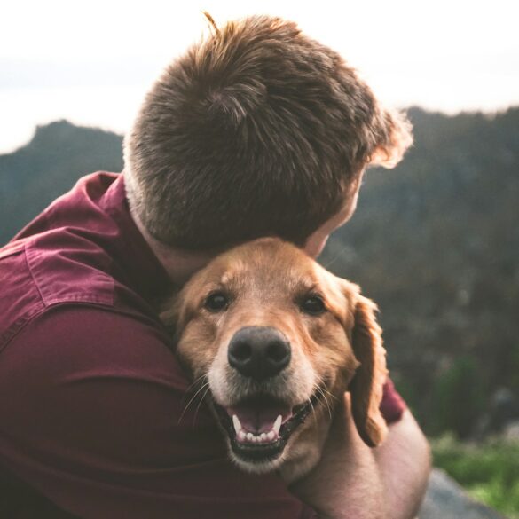 veteran hugging golden retriever