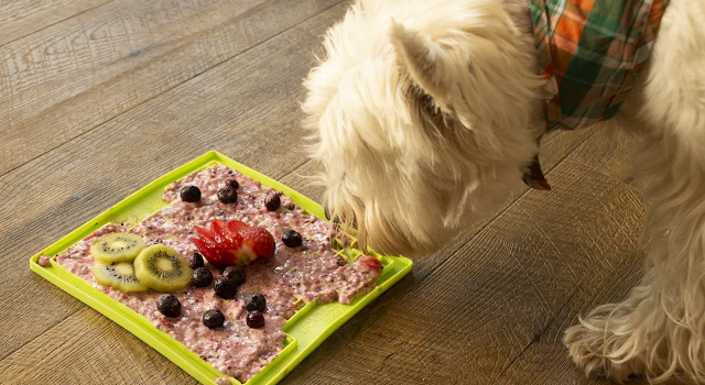 lickimat dog recipe