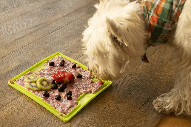 lickimat dog recipe