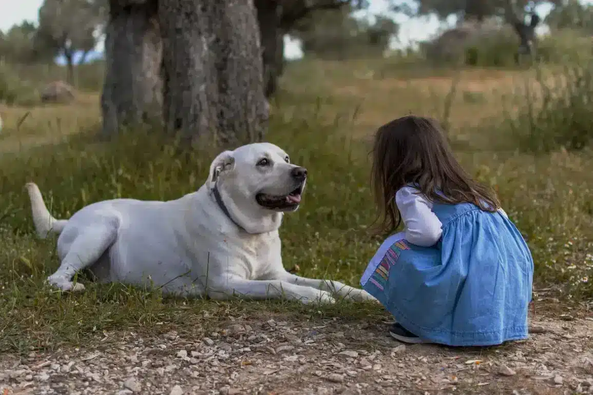 Here Are the Best Dog Breeds For Your Zodiac