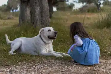 Here Are the Best Dog Breeds For Your Zodiac