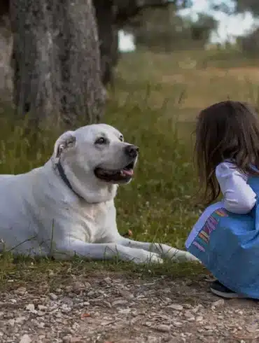Here Are the Best Dog Breeds For Your Zodiac