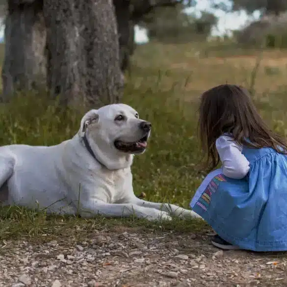 Here Are the Best Dog Breeds For Your Zodiac