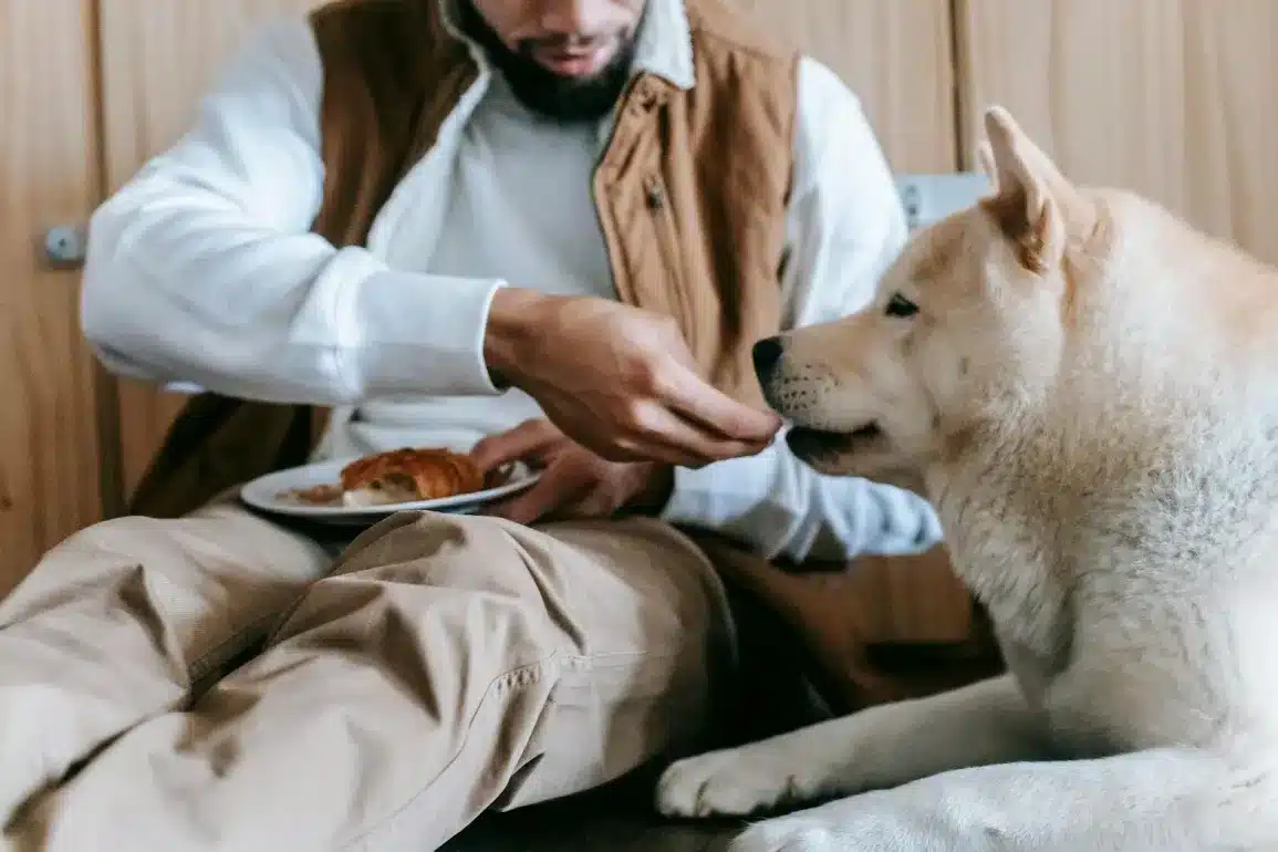 The Truth About Dogs and Consuming Salt