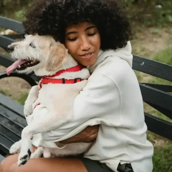 The Healing Effects of Dogs on Mental Health and Well-Being