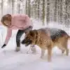 Do Dogs Have a Favorite Person?