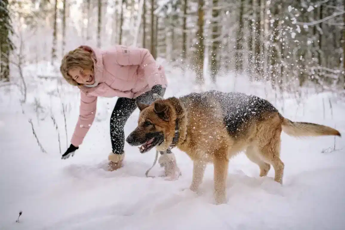Do Dogs Have a Favorite Person?