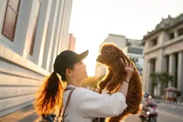 Is My Dog Allergic to Me?